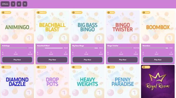 Chit Chat Bingo