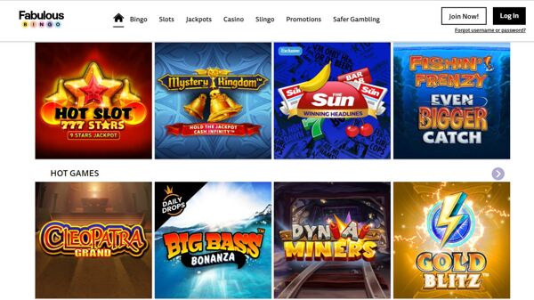 Fabulous Bingo