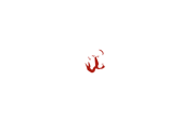 Hippozino