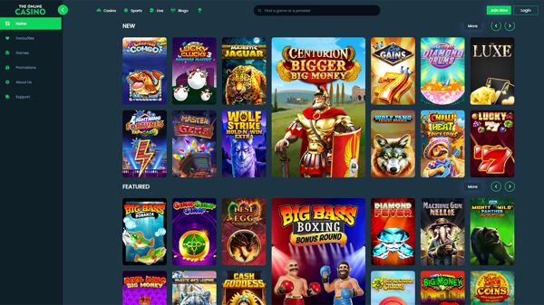 The Online Casino